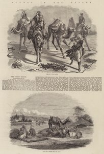 Scènes in de Woestijn
